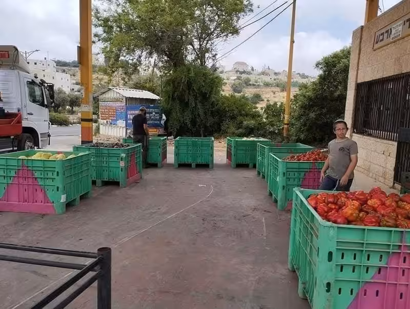 שוק חסדי אבות 11